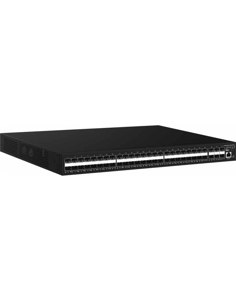 NS-SW-48GX6G10-L/SK-foto2